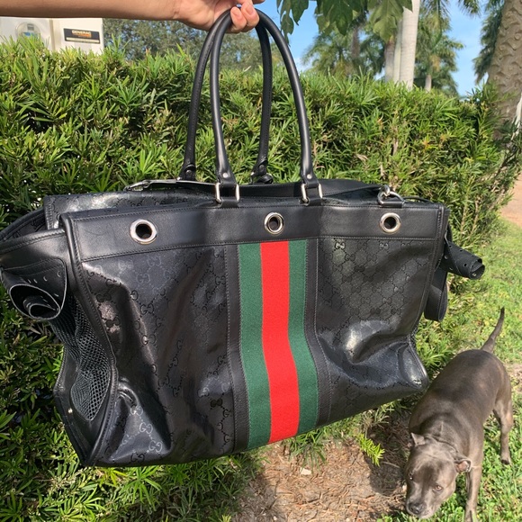 Gucci Bags Gucci Dog Carrier Poshmark
